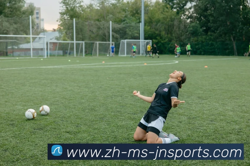 江南体育平台生态图